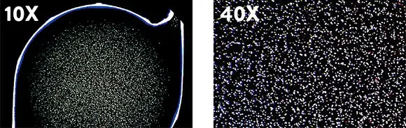 figure9 DarkFields